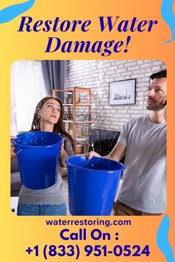 water restoration Classic Damage Restoration & Sons Max