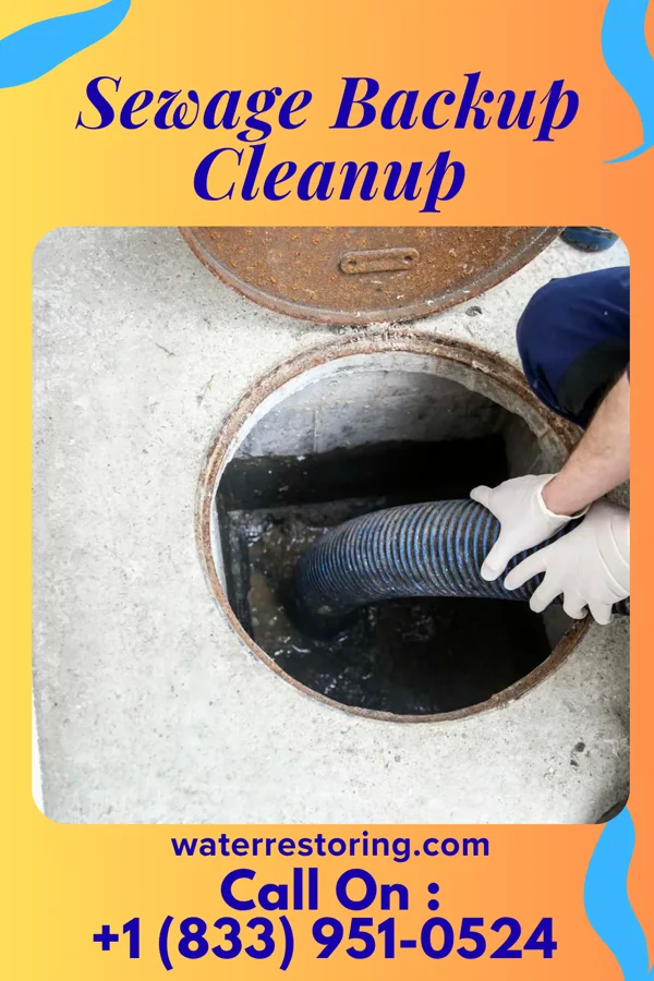 Sewage Backup Cleanup in Max, ND