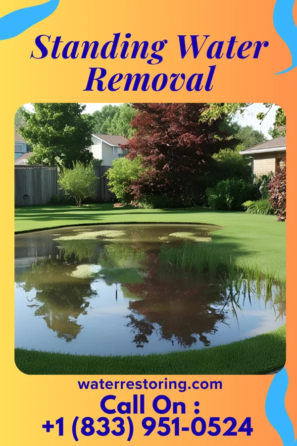Standing Water Removal in Max, ND